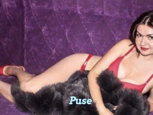 Puse