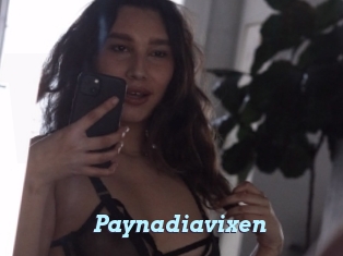 Paynadiavixen