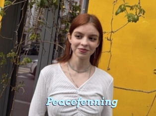 Peacefenning