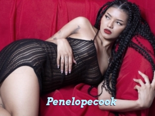 Penelopecook