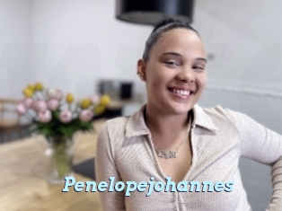 Penelopejohannes