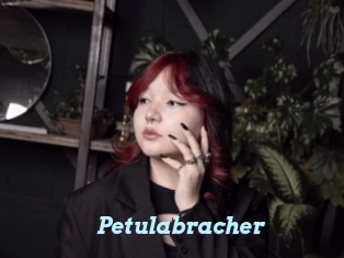 Petulabracher