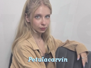 Petulacarvin