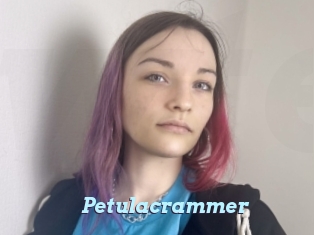 Petulacrammer