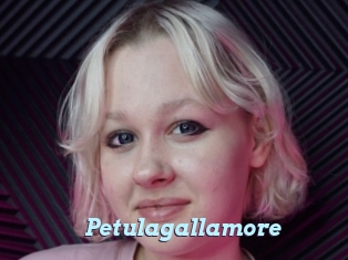 Petulagallamore