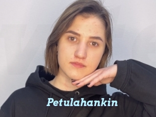 Petulahankin