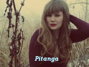 Pitanga