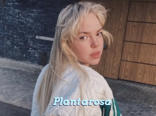 Plantarosa