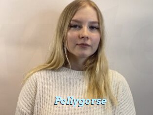 Pollygorse