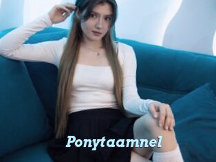 Ponytaamnel
