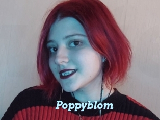 Poppyblom