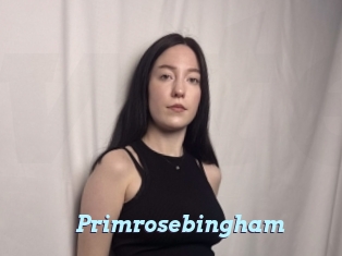 Primrosebingham