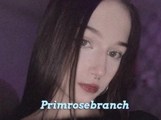 Primrosebranch