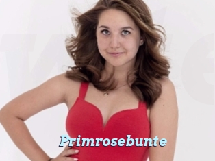 Primrosebunte