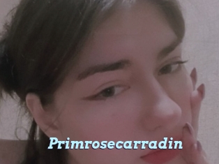 Primrosecarradin