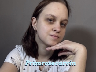 Primrosecarvin