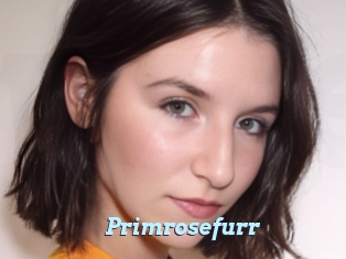 Primrosefurr