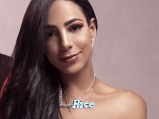 Rice