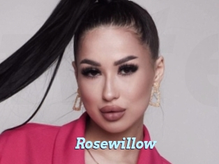 rosewillow Webcam Teen