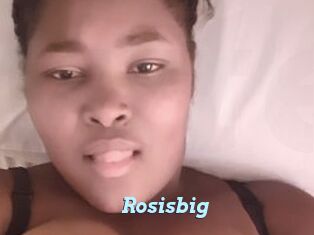 Rosisbig