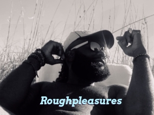 Roughpleasures