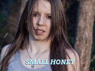 SMALL_HONEY