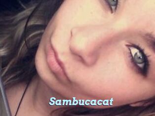 Sambucacat