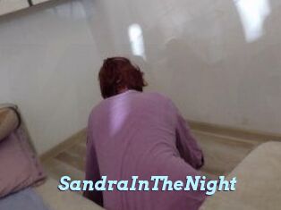 SandraInTheNight