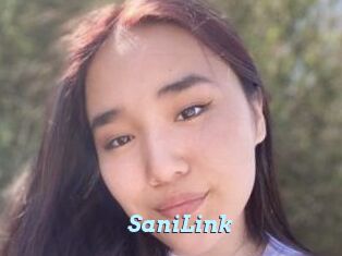 SaniLink