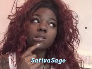 Sativa_Sage