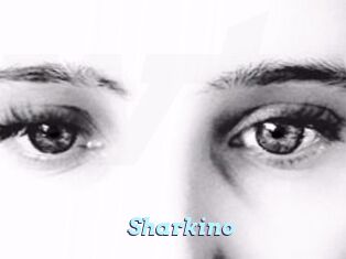 Sharkino