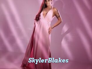 SkylerBlakes