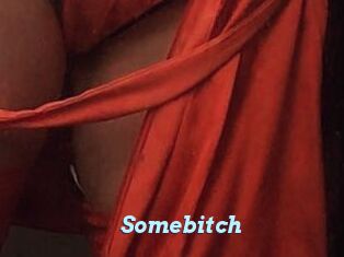 Somebitch