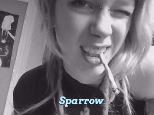 Sparrow
