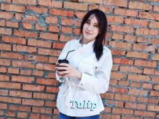 Tulip