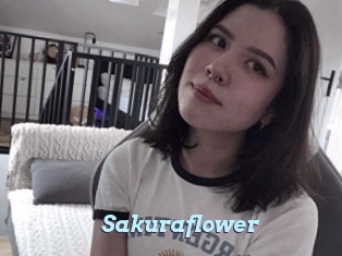 Sakuraflower