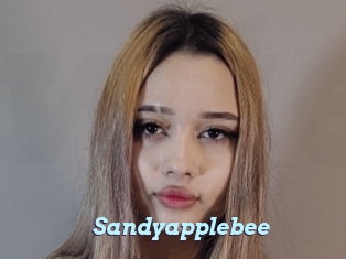 sandyapplebee Webcam Teen