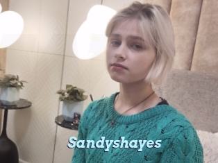 Sandyshayes
