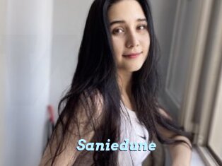 Saniedune