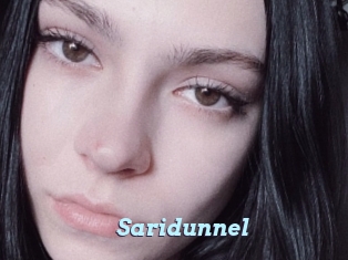 Saridunnel