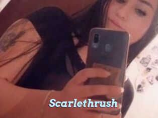Scarlethrush