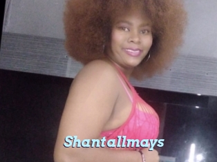 shantallmays Webcam Teen