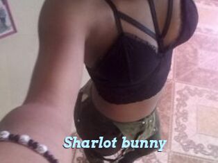 Sharlot_bunny