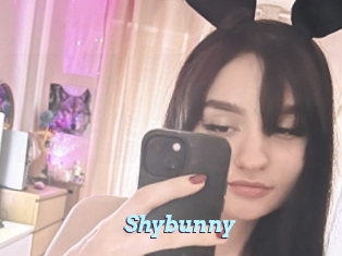 shybunny Webcam Teen