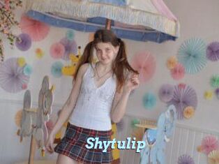 Shytulip