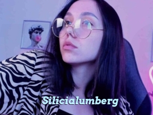 Silicialumberg