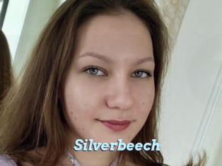 Silverbeech
