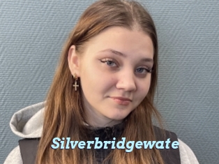 Silverbridgewate