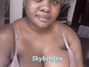 Skybirdxx