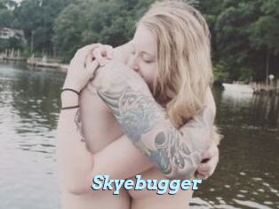 Skyebugger